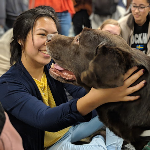 ExploreLLC student interacting with a dog